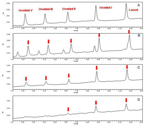 LC-UV chromatograms of target 5 urushiols after EC system application with various voltage of (A) 0 V, (B) 0.1 V, (C) 0.2 V and (D) 2.0 V