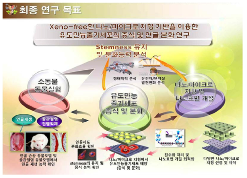 과제의 최종 연구 목표