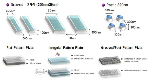 나노 혹은 마이크로 크기의 표면지형 도입 패턴 제작 모식도