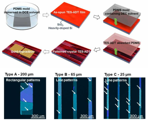 PDMS mold를 이용한 TES-ADT 박막 패터닝 및 트랜지스터 제조 과정 모식도(위). 패터닝된 필름의 편광 광학현미경 이미지(아래)