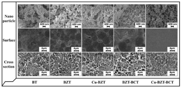 LPNPs와 (LPNPs)/PVDF composite film의 FE-SEM 이미지