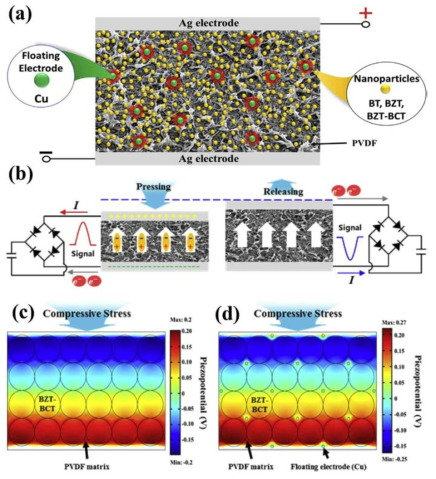 (a) FPEH (b) LPNP/PVDF composit film의 전기 에너지 생성 메커니즘의 개략도. (c) BZT-BCT 및 (d) Cu-BZT-BCT NPs/PVDF composit film의 출력 전압 시뮬레이션 (COMSOL 프로그램 사용)