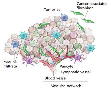 종양 미세환경의 주요 구성세포