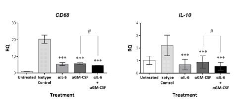 핵심 조절자를 규명하기 위한 in vitro Neutralizing Ab 실험