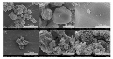 HR-FESEM images of zeolite (a, a1, a2) and Ni-zeolite (b, b1, b2)