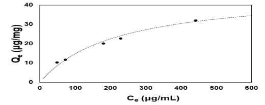 Langmuir isotherm for CphC-Ⅰ immobilization on Ni-zeolite