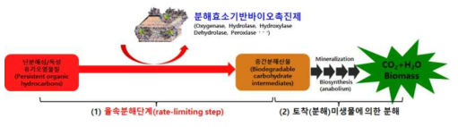 분해효소기반 바이오촉매제의 개념도