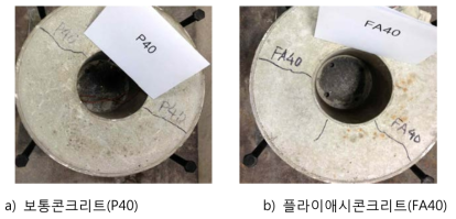 콘크리트 시험체(P40, FA40)에 발생된 균열의 특성