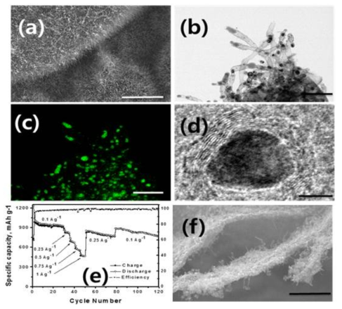 SEM(a) HRTEM(b) morphology of G-NCNT-Fe; EDS mapping of Iron particles(c) and HRTEM image of individual Fe particle(d); charge-discharge capacity and efficiency vs. number of cycles(e) and ‘post-mortem’ morphology of electrodes after 120 cycles(f)