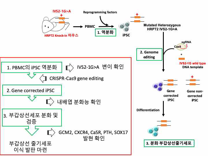 도약 연구 개발 전략