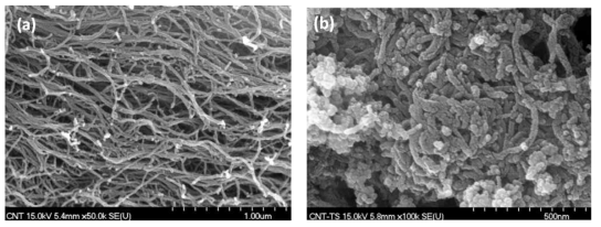 FE-SEM images of (a) CNT and (b) TiO2/CNT photocatalysts