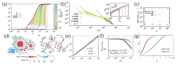 불균일한 연결망에서의 감염 확산 연구 (a) 축척 없는 연결망에서 감염 모형의 시뮬레이션 결과 (b) 주어진 시각에 감염자 수의 넓은 분포. (c ) 주어진 시각의 감염자수의 기댓값과 감염자수에 따른 감염 시간의 기댓값을 비교하여 그 차이를 계산해 보면 축척 없는 연결망 중 연결선수 지수가 3보다 작을 때 그 차이가 시스템 크기에 따라 커진다. (d) 빠르고 느리게 확산한 경우의 감염자 클러스터. (e) 감염자 수의 함수로 나타낸 감염자 클러스터의 내부 크기. (f)새로 감염된 사람의 웃 사람 수를 현재 감염자 수의 함수로 나타낸 것. (g) 시간에 따른 감염자 수의 시뮬레이션 결과와 본 연구의 대수적 해 의 비교