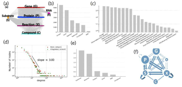 대장균 통합 세포 연결망 구조 (a) 유전자, 단백질 등 서로 다른 층위간의 연결 양상 (b) 유전자, 단백질, 대사반응, 반응물,RNA의 비율 (c ) 링크 타입별 분포 (d) 연결선 수 분포 (e) 노드 타입별 매개 중심성(betweenness centrality) (f) 노드 타입 사이의 최단 경로 분포