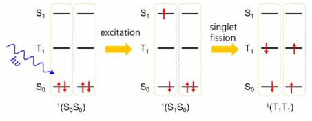 분자 조립체에서 일어나는 SF 원리. 에너지가 큰 광자가 1개 흡수되어 단일항 엑시톤(singlet exciton)을 만든 후, 2개의 삼중항 엑시톤 (triplet exciton)을 만드는 과정