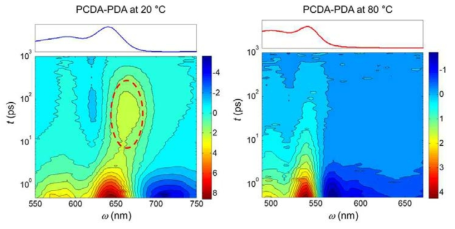 온도에 따른 폴리다이아세틸렌의 transient absorption signals