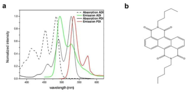 a) UV-Vis spectrometer와 fluorometer를 이용하여 ADI의 fluorescence spectrum과 PDI의 UV-Vis absorption spectrum. ADI의 fluorescence spectrum과 PDI의 UV-Vis absorption spectrum이 겹치는 것을 확인하였다. b) ADI (2,8-dipentylbenzo[1,2,3-de:4,5,6-d'e']diisoquinoline-1,3,7,9(2H,8H)-tetraone)의 분자 구조