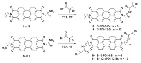 말단기가 amine기로 치환된 perylenedicarboximide 분자를 고분자 합성을 위한 initiator로 합성