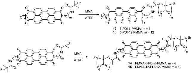perylenedicarboximide 분자를 initiator로 하여 PMMA의 카르복실 말단기와 perylenedicarboximide 분자의 amine기가 반응하여 고분자 합성