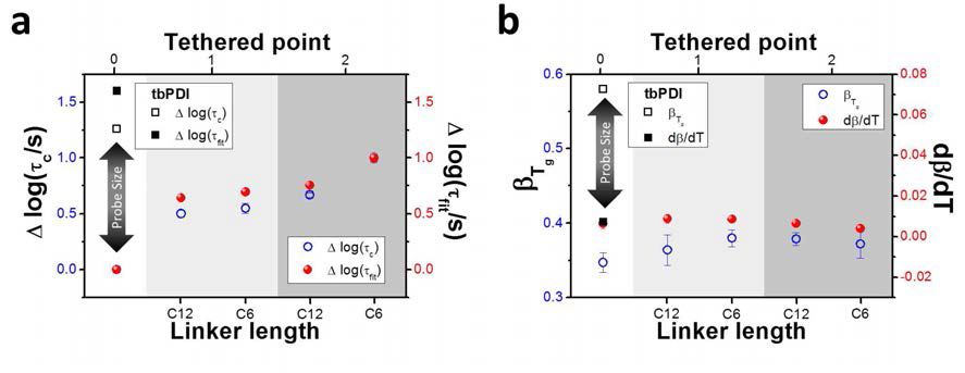a) 형광탐침분자가 labeling된 고분자의 rotation timescale (τc and τfit)과 free probe (5-PDI-5, tbPDI)의 rotation timescale과의 비교. b) free probe (5-PDI-5, tbPDI)와 형광탐침분자가 labeling된 고분자의 Tg에서의 β 값과 β값의 온도에 대한 기울기의 비교