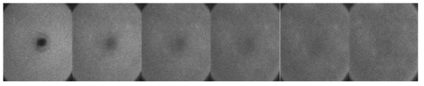 pPDI in polystyrene 시스템에서 80mW의 laser intensity로 150도에서 5초간 bleaching을 시킨 뒤, 50분간 10분 간격으로 측정한 이미지. 가운데의 bleaching 된 형광 분자들이 있는 지역이 50분 후 recovery 되는 것을 확인하였다