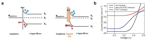 유기 정공 수송층의 그래핀/실리콘 중간층 적용. (a) 그래핀/유기 정공 수송층/실리콘의 에너지 밴드 다이어그램 모식도. (b) 유기 정공 수송층을 중간층으로 적용한 그래핀/실리콘 샷키접합 태양전지의 J-V 특성