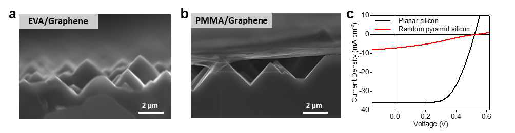그래핀 전사 지지층에 따른 실리콘 구조체 상부 그래핀 전사 기술. (a) EVA, (b) PMMA를 전사 지지층으로 사용한 피라미드 실리콘 구조체 위 그래핀 전사. (c) EVA 전사지지층을 사용하여 평면 실리콘, 피라미드 패턴 실리콘 위에 전사된 그래핀을 활용한 그래핀/실리콘 샷키 접합 태양전지의 J-V 특성