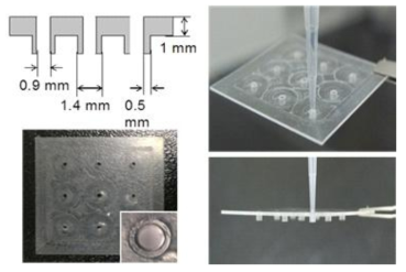 3차원 세포 단위구조체 제작용 디바이스