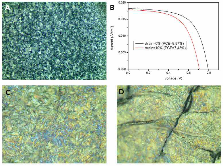 (A) 완성된 소자의 단위 셀 표면의 광학현미경 사진 (B) 연신율에 따른 태양전지의 전류 -전압 곡선 (C, D) 10% 및 20% 연신율에서의 단위 셀 표면의 광학현미경 사진