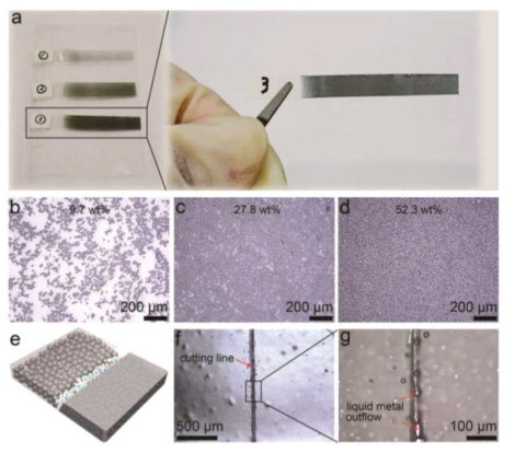 (a) 액체 금속 마이크로 캡슐과 epoxy를 섞어 경화시킨 보호필름의 사진. (b-d) 캡슐 농도에 따른 광학 현미경 사진. (e) 보호필름이 절단되었을 때 액체 금속이 흘러 나오는 과정을 묘사한 모식도. (f, g) 보호필름을 잘랐을 때 캡슐이 터지면서 액체 금속이 흘러 나와 단면을 채운것을 보여주는 광학 현미경 사진