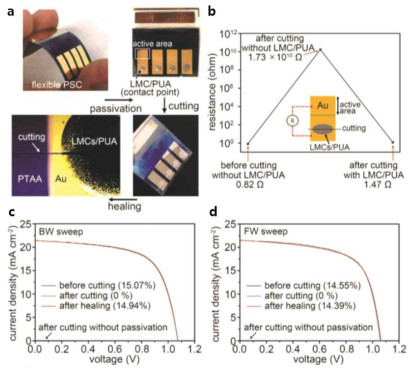 (a) 플렉서블 페로브스카이트 태양전지 전극에 액체 금속 캡슐/PUA 보호 필름이 코팅된 사진. (b) 전극을 절단하기 전/후 저항 변화. (c, d) 플렉서블 태양전지의 전극을 절단하였을 때 정방향 sweep과 역방향 sweep으로 얻어진 전류-전압 곡선 변화