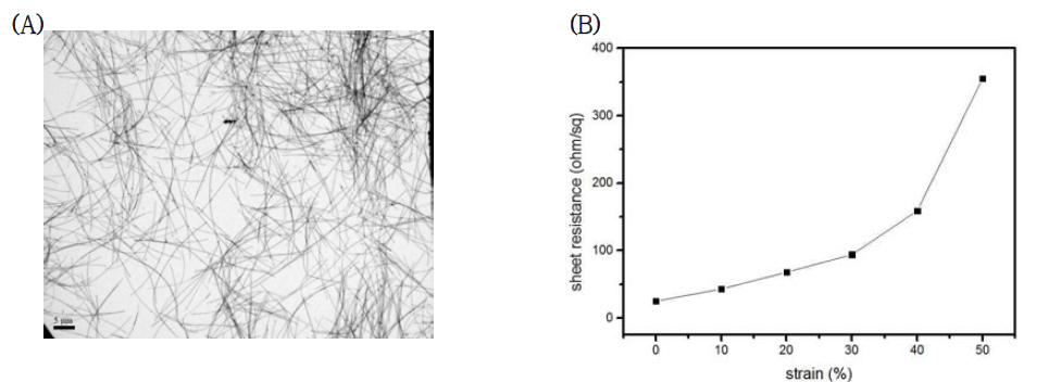 (A) 합성된 실버 나노와이어의 투과 전자현미경 사진 (B) 연신율에 따른 실버 나노와이어 투명전극의 면저항 변화