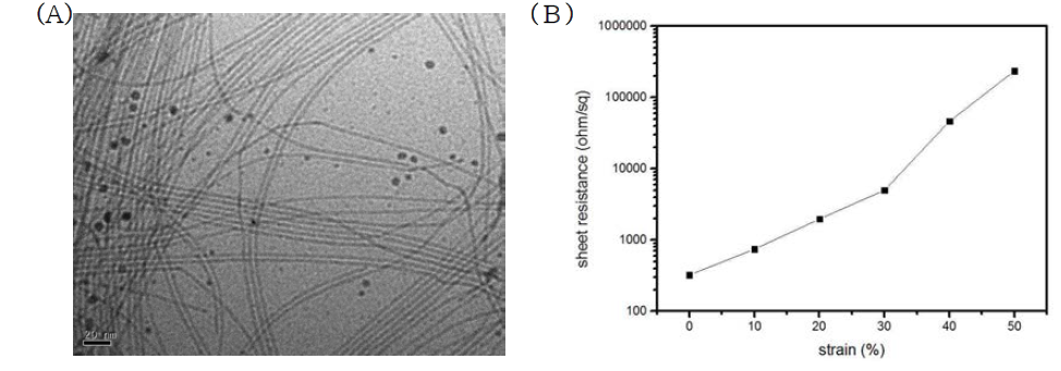 (A) 합성 된 골드 나노와이어의 투과 전자 현미경 사진. (B) 연신율에 따른 골드 나노와 이어 투명전극의 면저항 변화