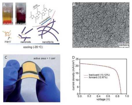 (A) P3HT 나노 와이어 성장 과정 모식도 (B) P3HT 나노 와이어의 투과 전자 현미경 사진. (C) P3HT 나노 와이어가 적용 된 고유연성 페로브스카이트 태양전지 (D) (C)의 전류-전압 곡선