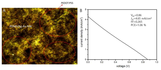 (A) PDMS/Ag-Au 나노와이어 복합체 전극 표면 위에 PEDOT:PSS를 증착한 광학 현미경 사진. (B) PEDOT:PSS 위에 페로브스카이트를 증착한 후, PCBM과 실버 나노와이어를 차례로 증착하여 페로브스카이트 태양전지를 구성하였을 때 전류-전압 곡선