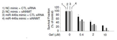miR-449a 및 NNMT 발현 변화에 따른 Gefitinib의 세포 성장 저해 효능 변화