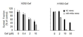 miR-449a mimic 처리에 따른 gefitinib의 암세포 성장 저해 효능 확인