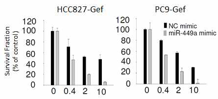 miR-449a mimic 처리에 따른 gefitinib의 암세포 성장 저해 효능 확인