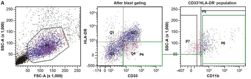 CD11b+CD33+HLA-DR− MDSC-like blasts identified in bone marrow aspirates from patients with de novo acute myeloid leukemia. Three-color flow cytometry staining CD33, HLA-DR, and CD11b identifying the existence of the CD11b+CD33+HLA-DR− MDSC-like blasts subpopulation within leukemic blasts