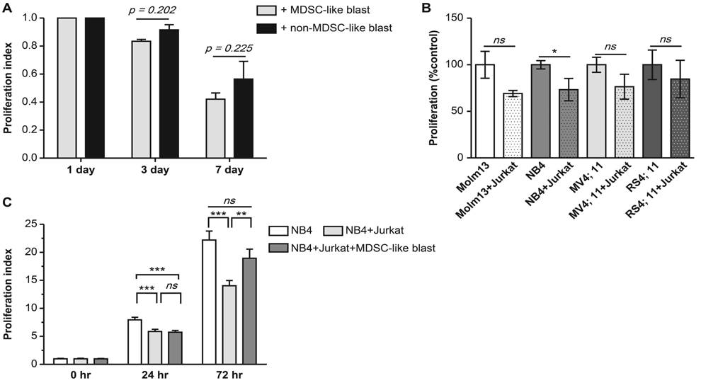 The immunosuppressive function of CD11b+CD33+HLA-DR− MDSC-like blasts from the bone marrow of acute myeloid leukemia patients. (A) T cell-suppressive function of MDSC-like blasts. Phytohemagglutinin A-induced CD8+ T cell proliferation was significantly suppressed during co-culture with MDSC-like blasts as compared with co-culture with blasts (p < 0.01). (B) NB4 cell proliferation was significantly suppressed during co-culture with Jurkat cells on day 3 (p < 0.01) and partially restored upon co-culture with MDSC-like blasts (NB4, 23.49 ± 6.26%; NB4 + Jurkat, 12.62 ± 3.92%; NB4 + Jurkat + MDSC-like blasts, 18.71 ± 6.19; p = 0.022). Columns, mean values of three independent experiments; bars, the standard error of the mean. MDSC, myeloid-derived suppressor cells