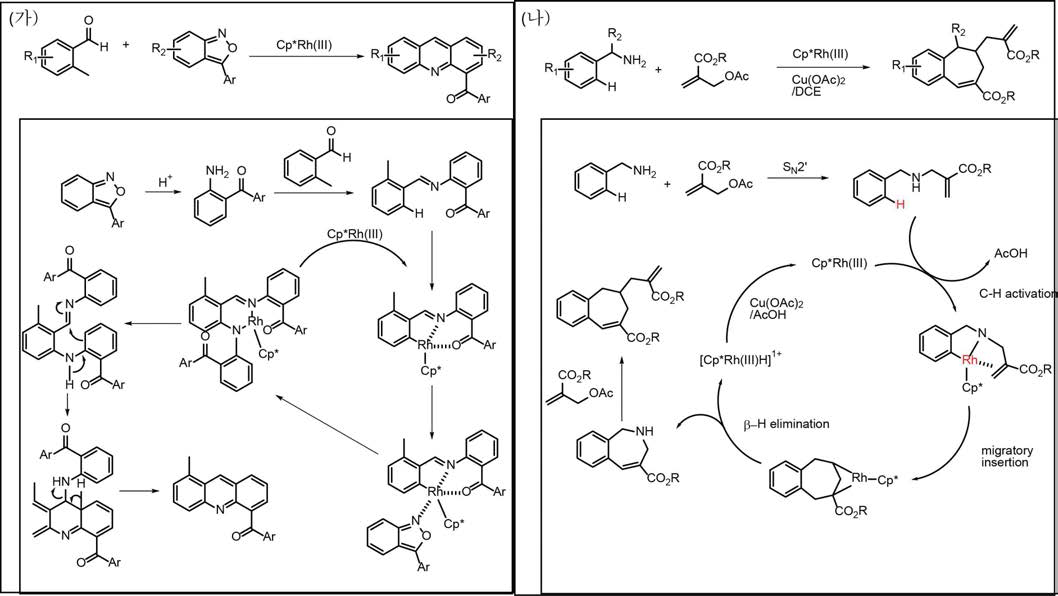 로듐(rhodium)촉매를 이용한 2-Acyl Acridine 과 Benzazepine 유도체의 합성 경로와 제안된 반응 메카니즘