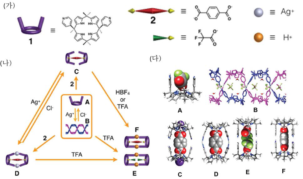 (가) cis-bispyridine-substituted calix pyrrole 구조와 이온성 게스트 분자 (나) 이온성 게스트 분자의 분자인지에 따른 초분자 골격체의 스위칭 현상. (다) 여섯 개의 초분자 골격체의 X-ray 단결정 구조
