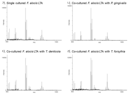 MALDI-TOFTOF에 의한 단독 또는 혼합배양된 F. alocis의 LTA 분석