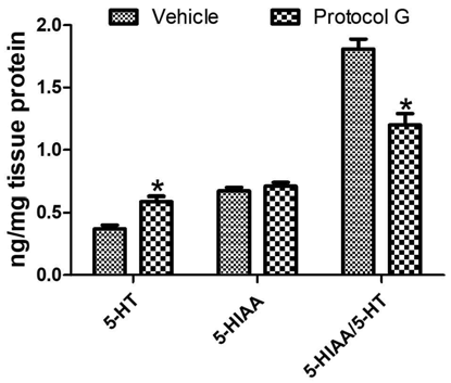 Effect of Protocol G on levels of serotonin (5-hydroxytryptamine, 5-HT), its metabolite (5-hydroxyindoleacetic acid, 5-HIAA), and ratio (5-HIAA/5-HT) in the control and Protocol G-treated groups (n = 5 mice per group; *P< 0.05, versus control group)