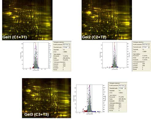 2D-DIGE proteomes. Two dimensional-fluorescence difference gel electrophoresis (DIGE) gel of hippocampal proteins labelled with CyDye™ fluors was performed to compare the proteomes from control and Protocol G-treated groups