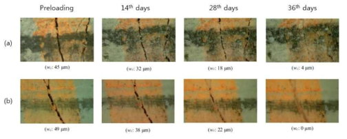 재령에 따른 자기치유 성능: (a) 물-결합재비 30% 시멘트 기반 복합재료, (b) 물-결합재비 30% 슬래그 기반 개발한 복합재료
