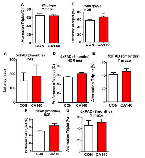 Wild type(WT) mice (3month) 및 알츠하이머 중기, 후기 동물모델 (5xFAD, 3 & 8 months)에서 CA140에 의한 기억력/학습력 변화