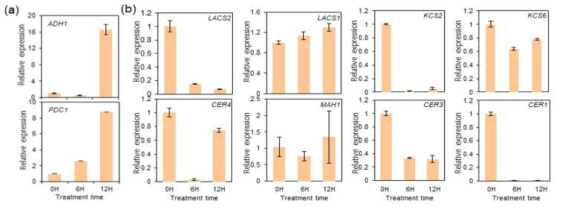 침수 조건에서 생육된 애기장대 잎에서 수행된 qRT-PCR 분석. a, 침수 조건에서 발현이 증가한다고 알려진 reference 유전자. b, 큐티클 대사에 관여하는 유전자