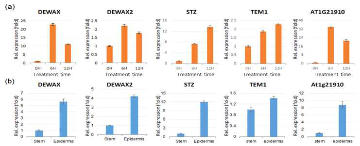 침수 스트레스에 반응하는 후보 전사조절인자의 잎(a)과 줄기와 표피세포(b)에서 수행된 qRT-PCR