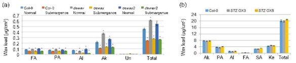 침수 조건 하에서 야생형과 dewax 및 dewax2 돌연변이체의 왁스 함량 분석(a)과 정상조건에서 야생형과 STZ 유전자의 과다발현체(OX3, OX5)의 왁스 함량 분석(b). FA, fatty acids; PA, primary alcohols; AL, aldehydes; AK, alkane; UN, unknown