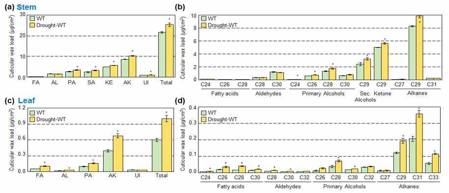 정상조건과 가뭄 스트레스 하에서 줄기(a, b)와 잎(c, d)에서 큐티클 왁스 성분 및 함량 분석(n=3; student’s t-test; *, P<0.05)